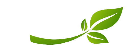 Hybrid St. Louis